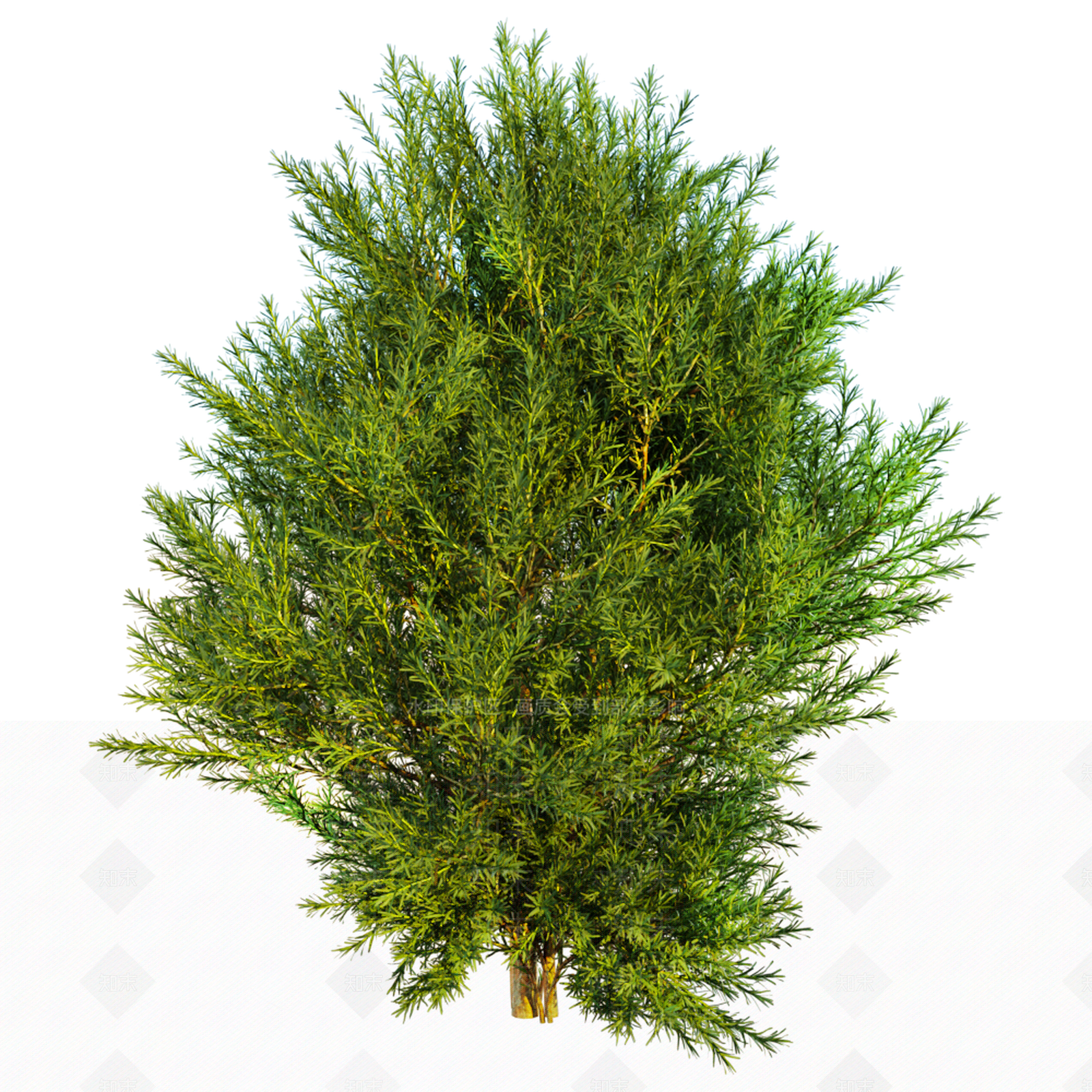乔木3D模型下载【ID:1150940338】