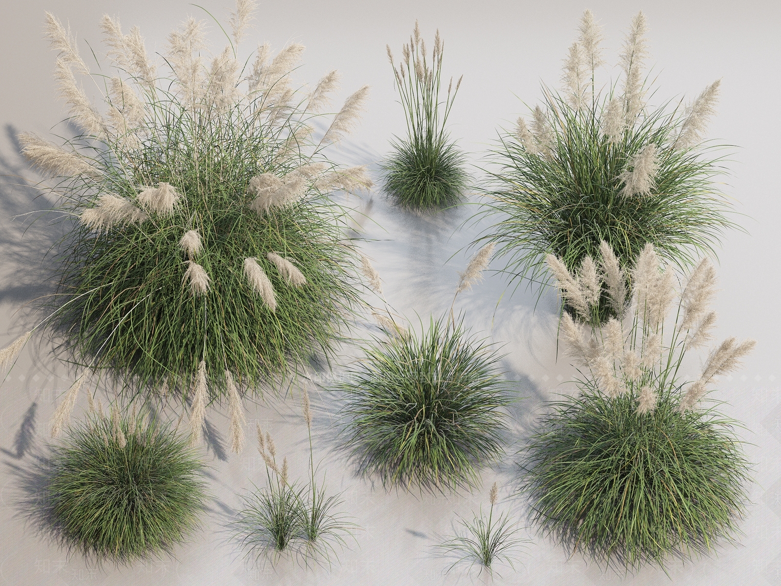 花草花卉3D模型下载【ID:1150971652】