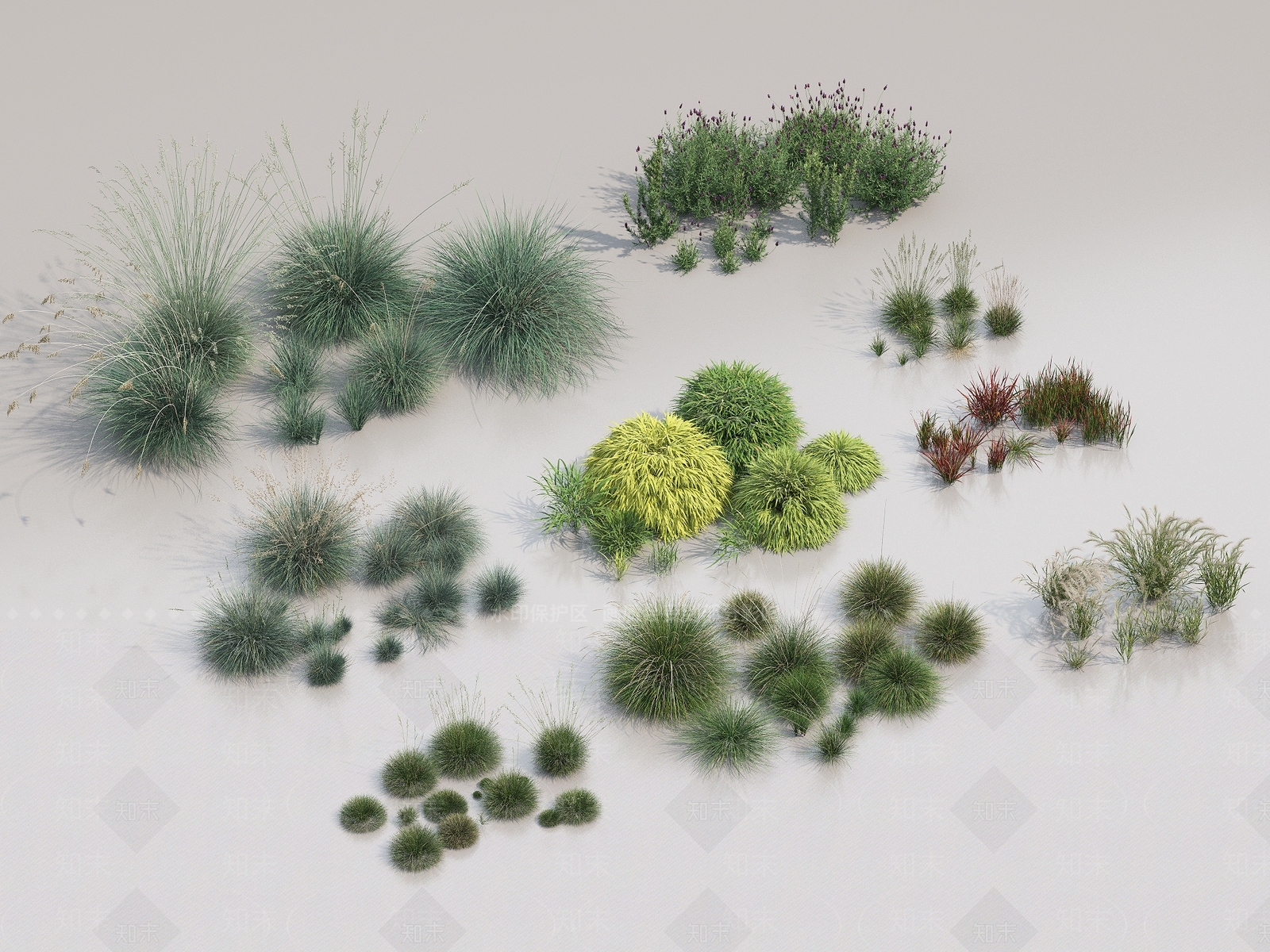植物3D模型下载【ID:1150972362】