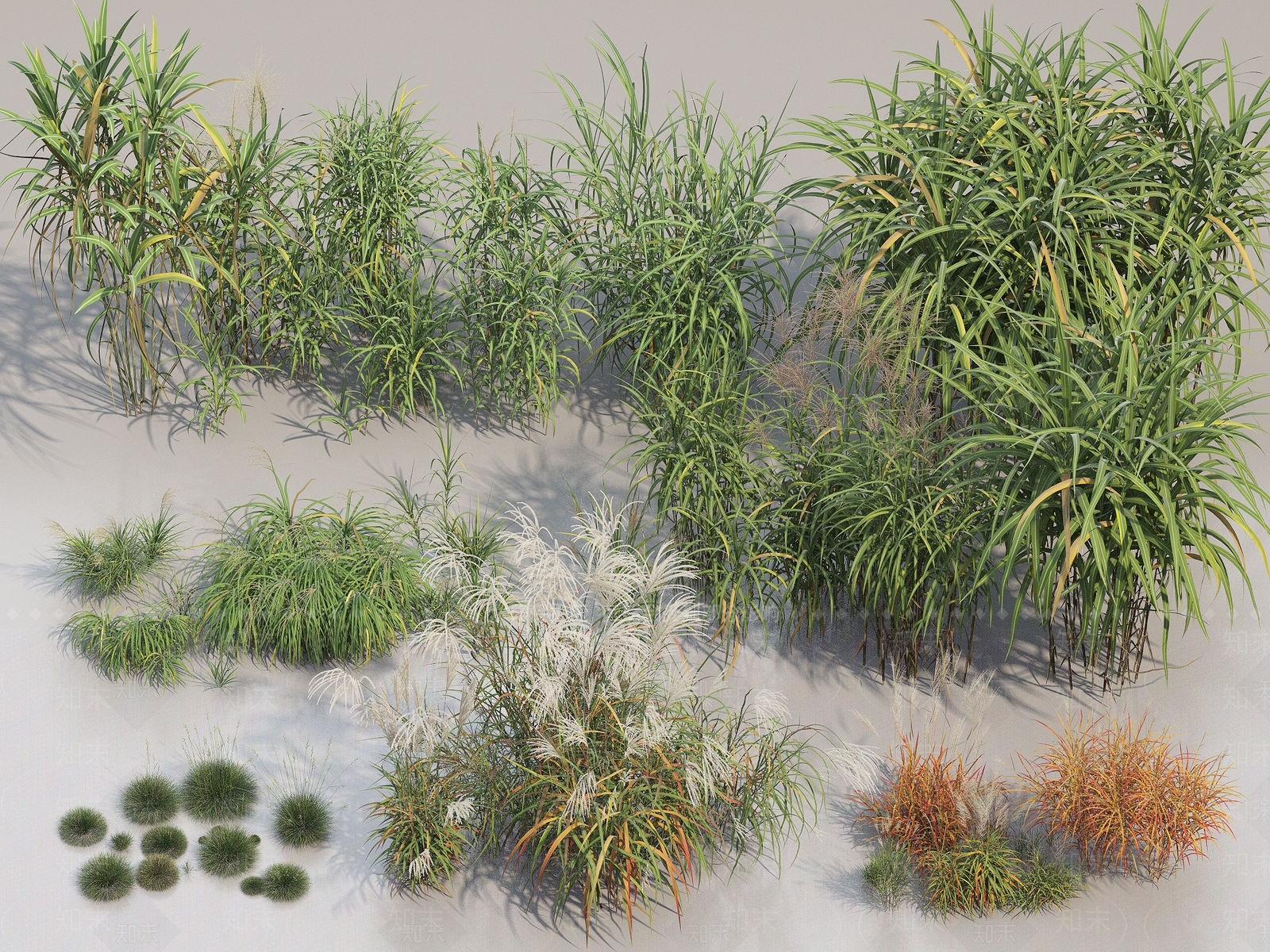 花草花卉合集3D模型下载【ID:1150972930】