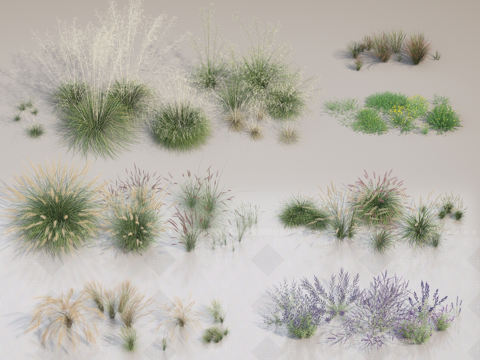 花草花卉合集3D模型下载【ID:1150973108】