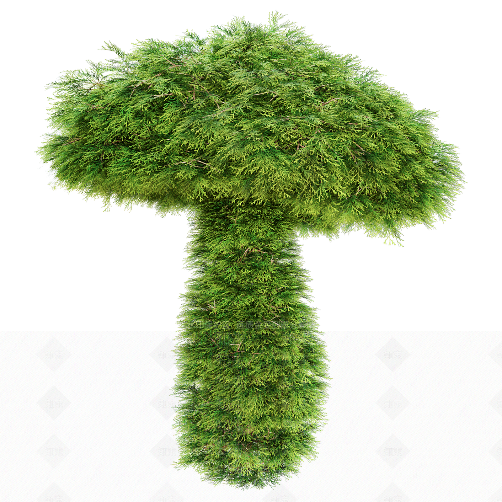 现代景观植物3D模型下载【ID:1151012280】