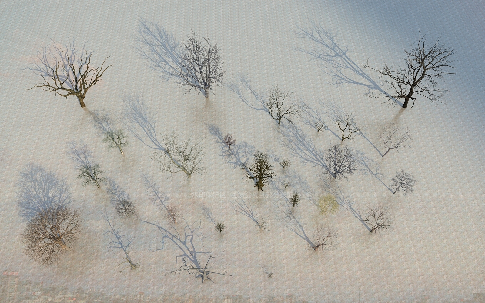 枯树3D模型下载【ID:1151013780】