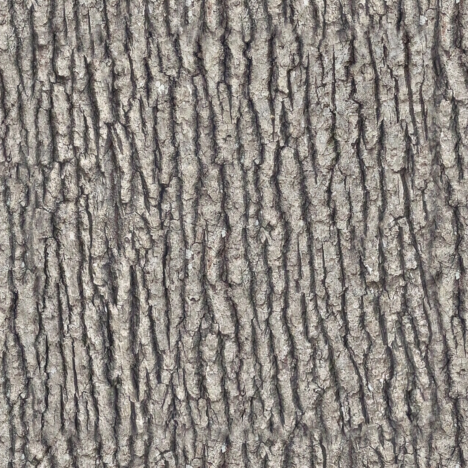 无缝树皮纹理贴图下载【ID:1151026889】