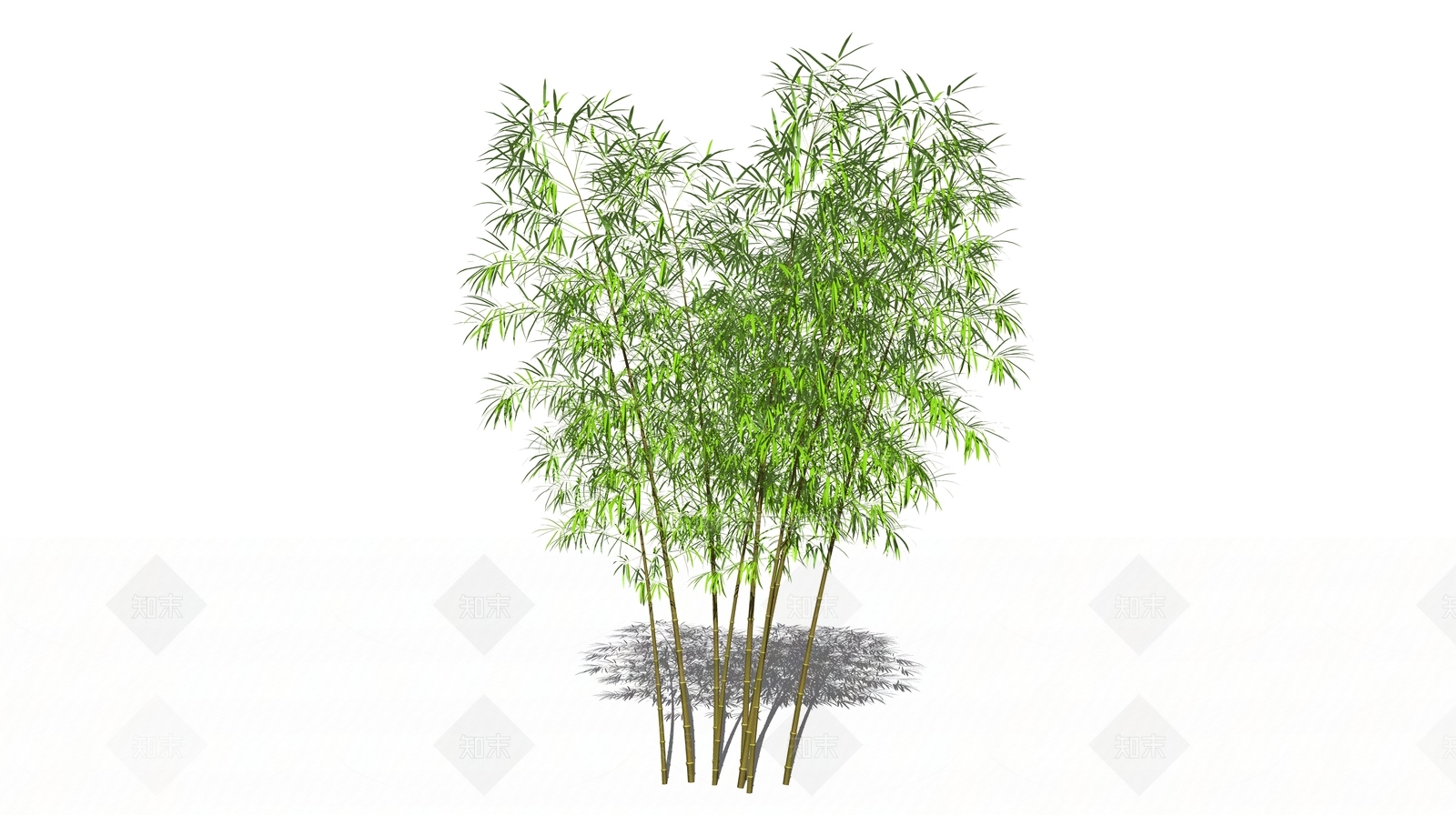竹子植物组团SU模型下载【ID:1151089692】
