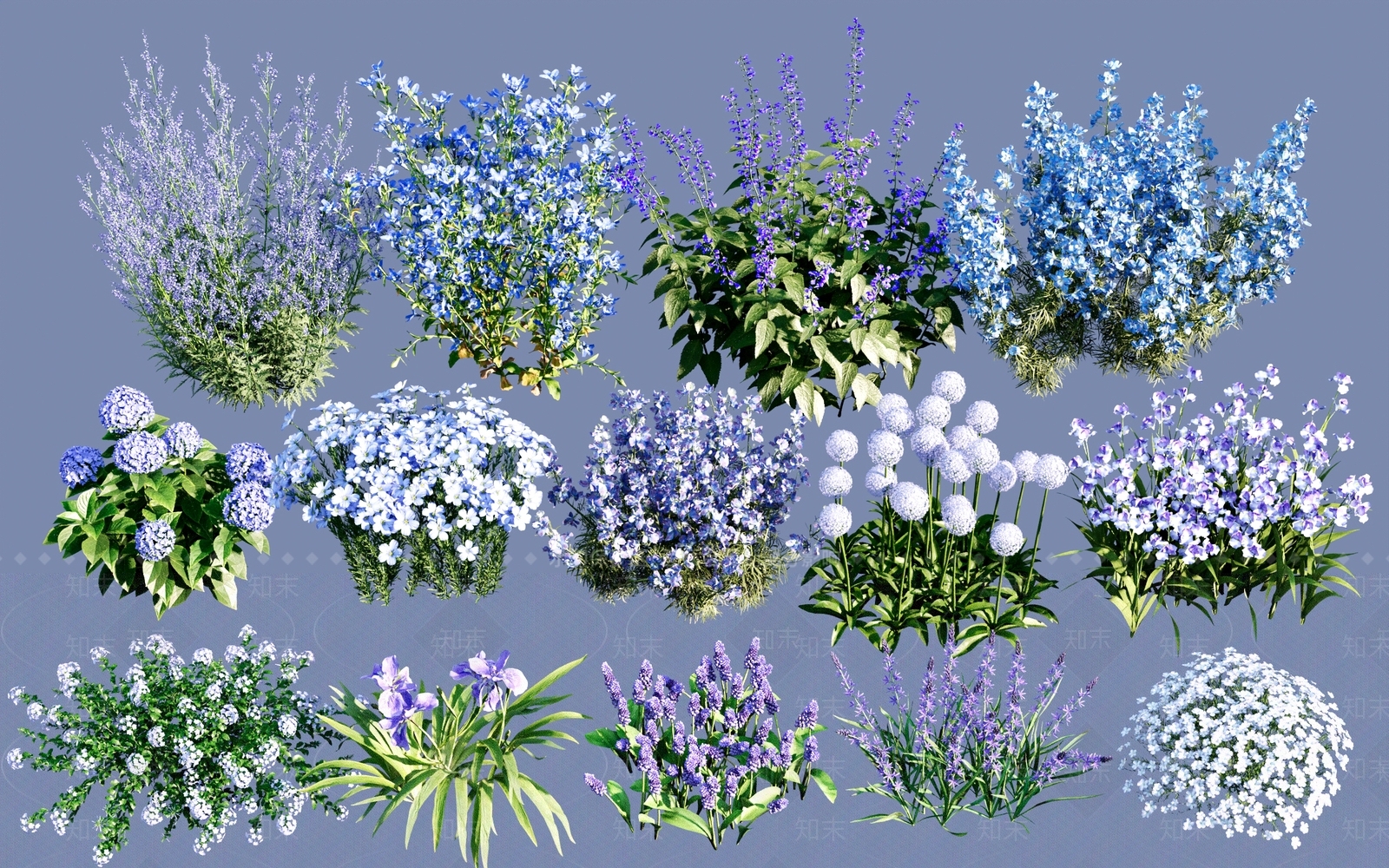 蓝色主题开花灌木地被SU模型下载【ID:1151151314】