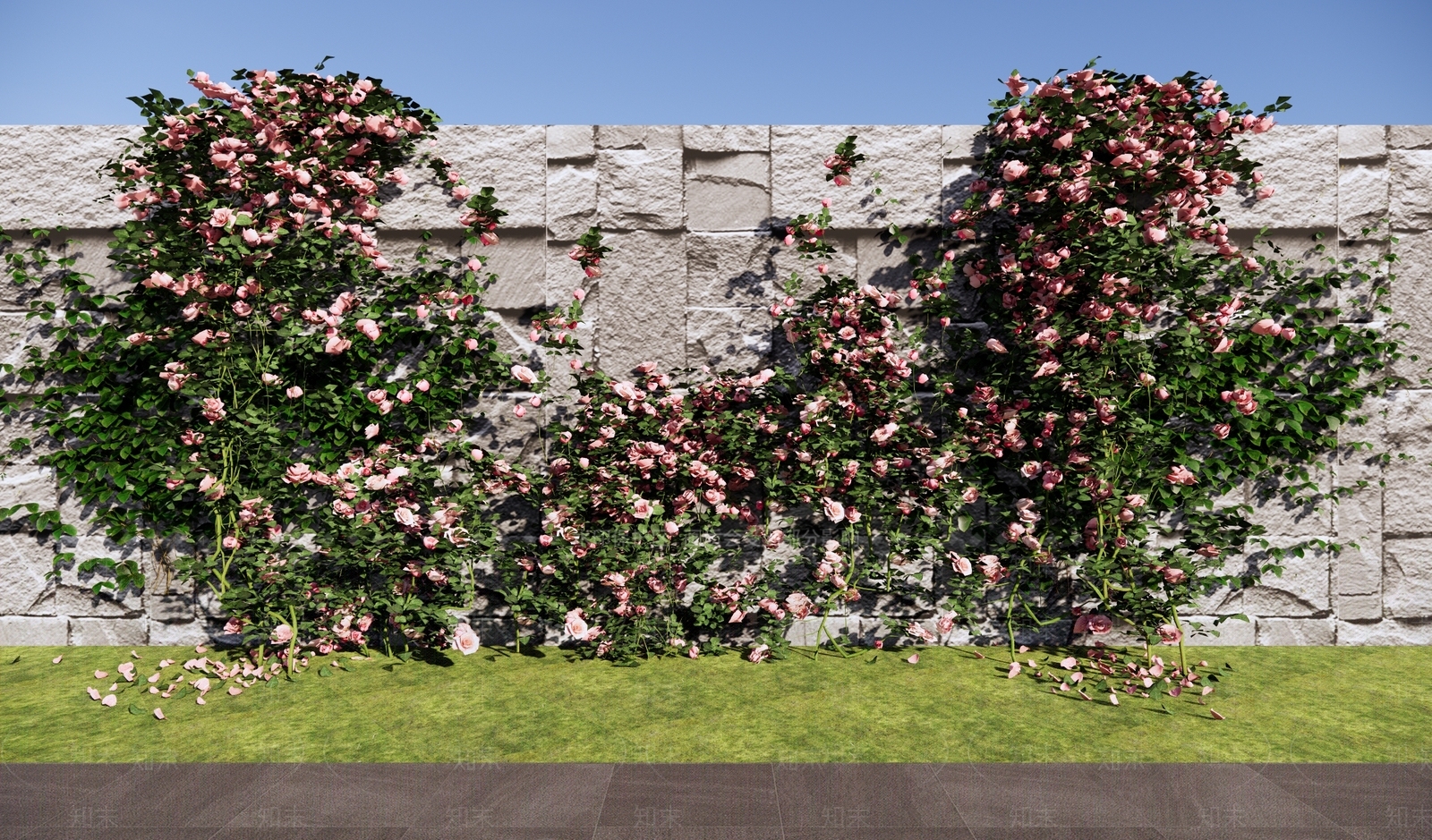庭园玫瑰花墙SU模型下载【ID:1151160805】