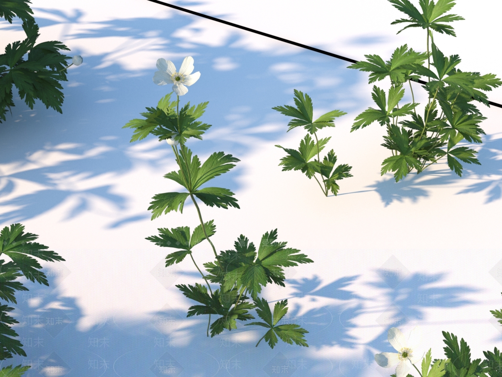 植物灌木3D模型下载【ID:1151166158】