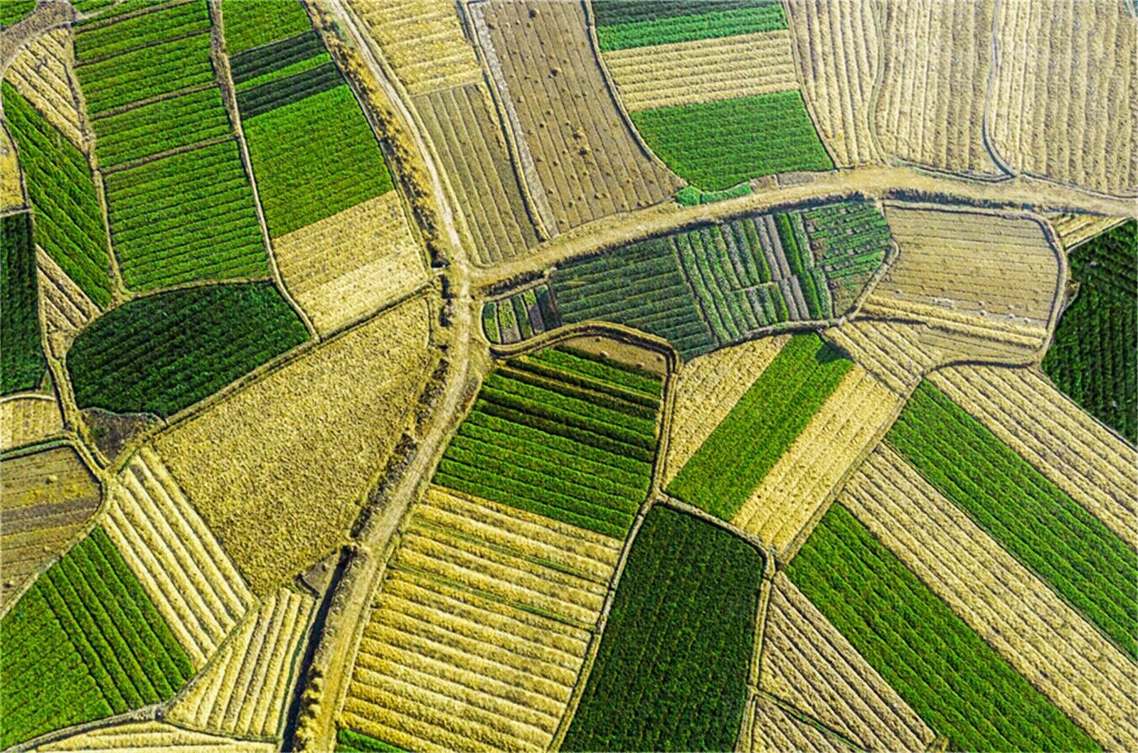 乡村农田肌理素材贴图下载【ID:1151169590】