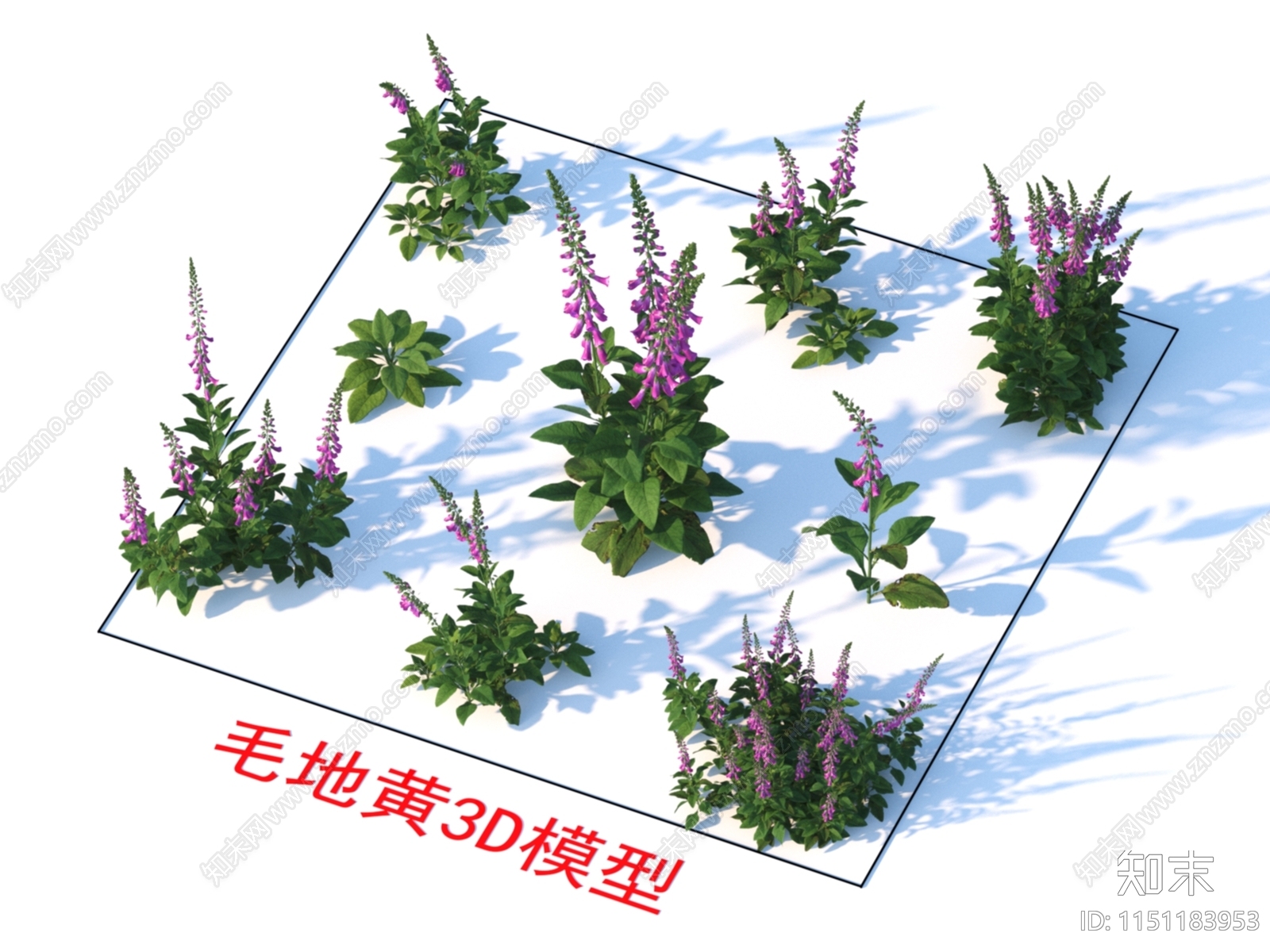 植物3D模型下载【ID:1151183953】