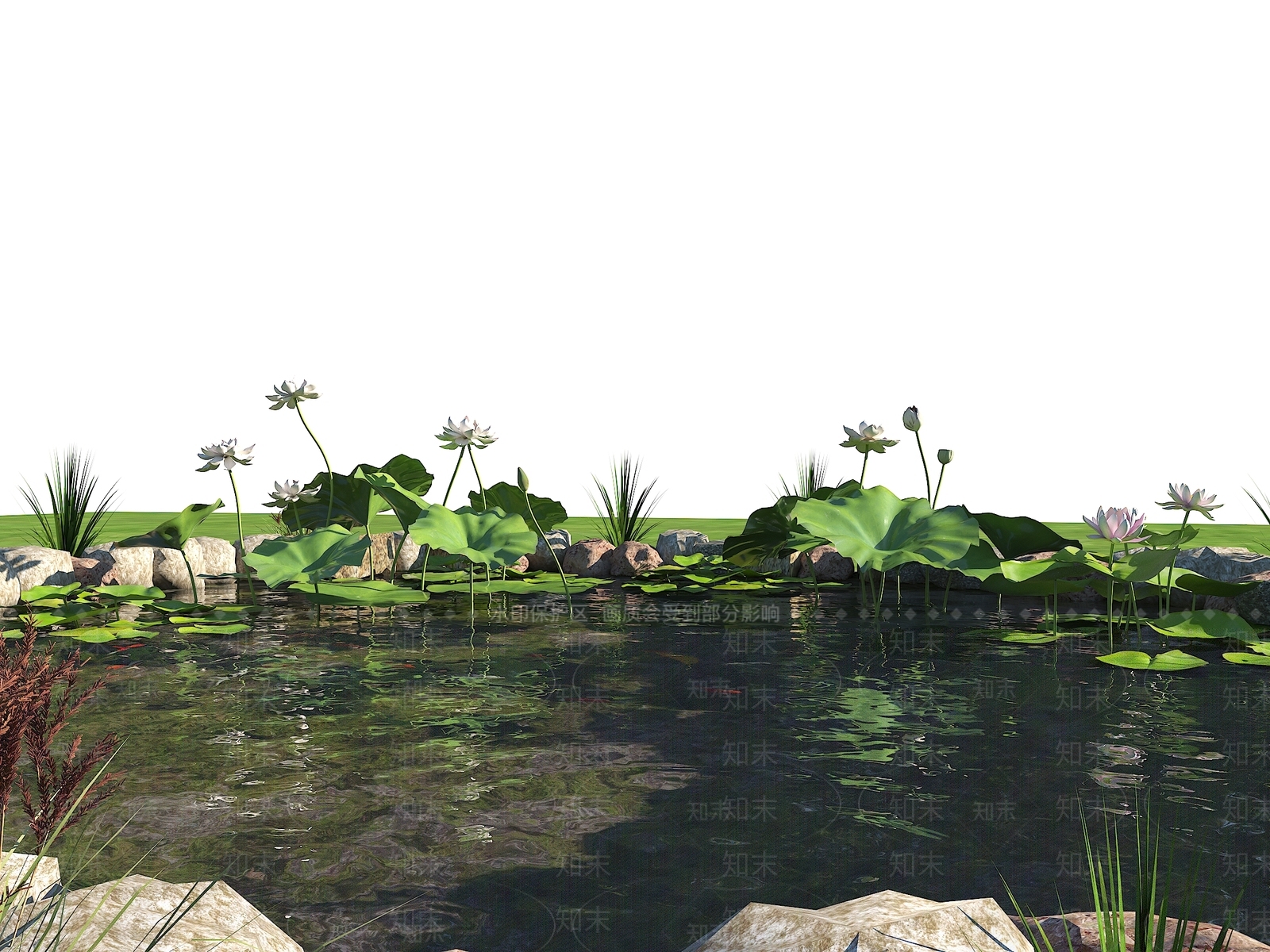 现代生态鱼池3D模型下载【ID:1151186502】