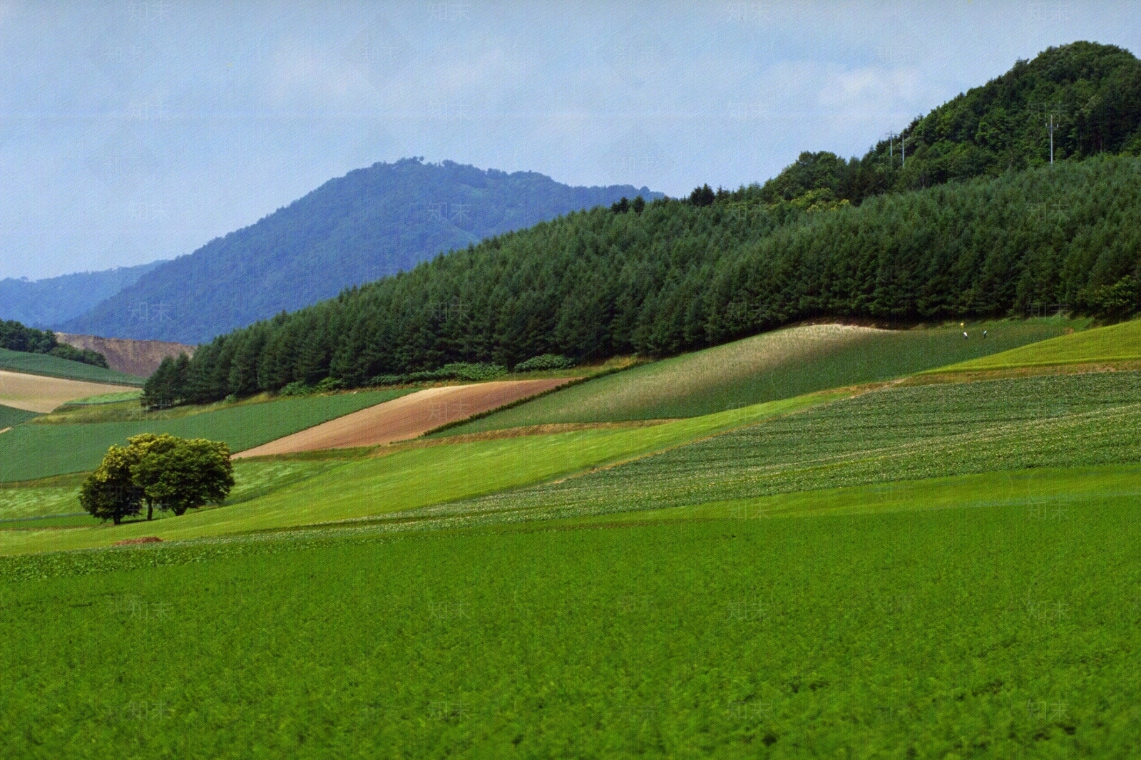 风景高清贴图材质