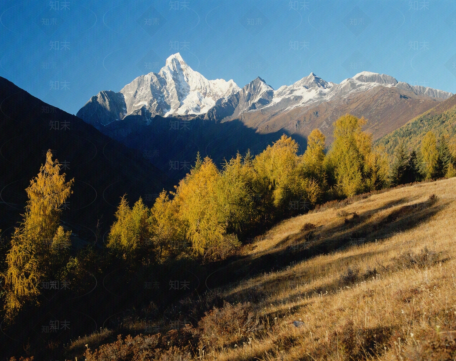 风景高清贴图材质
