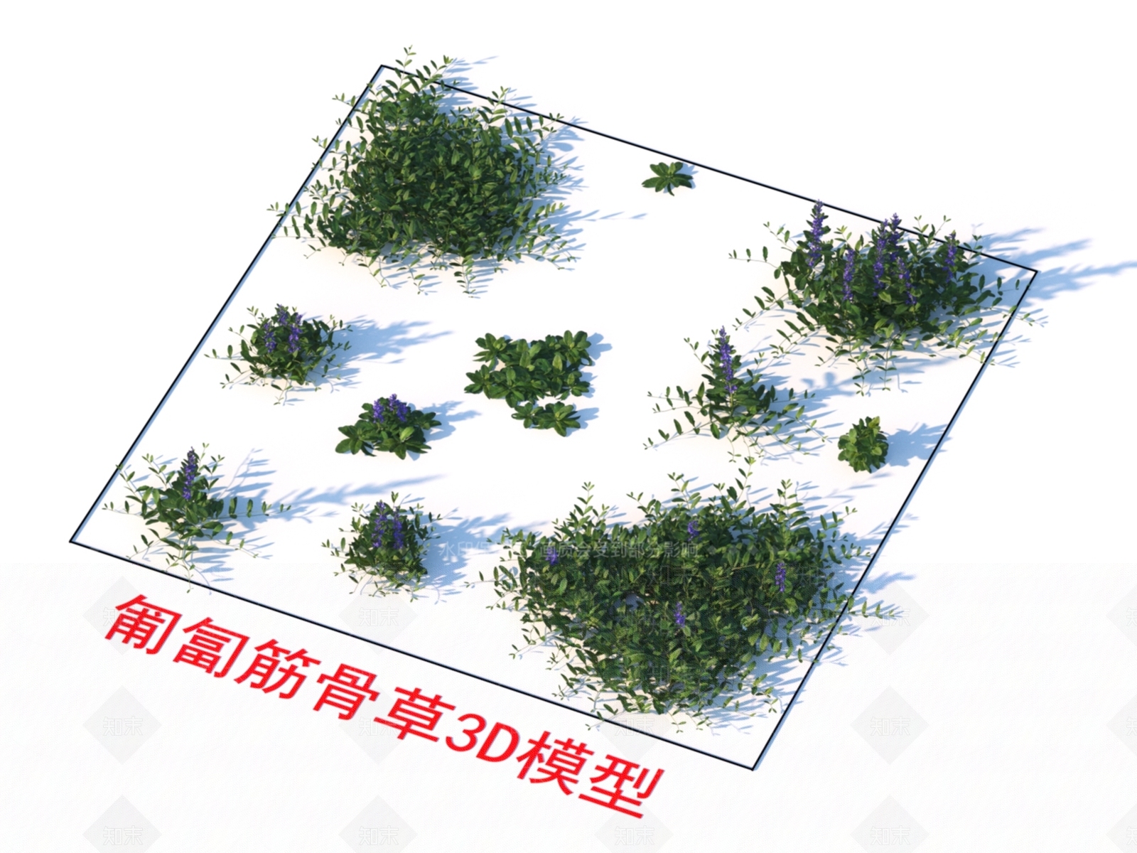 植物3D模型下载【ID:1151187882】