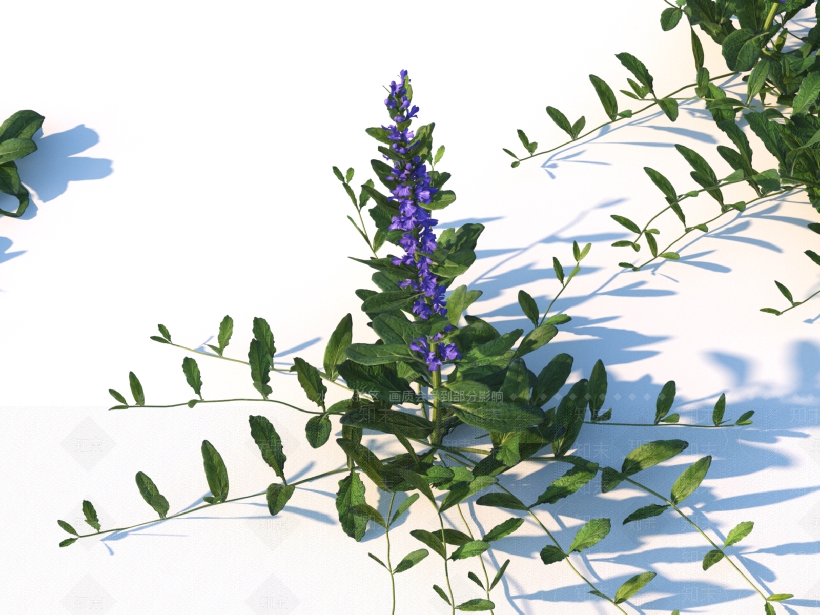 植物3D模型下载【ID:1151187882】