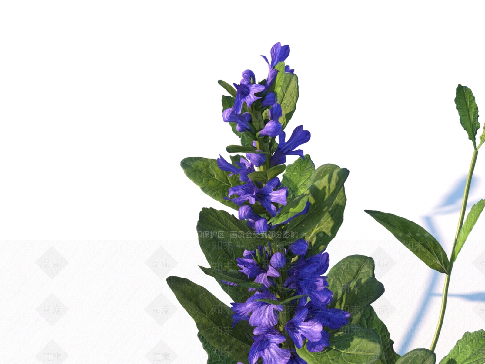 植物3D模型下载【ID:1151187882】