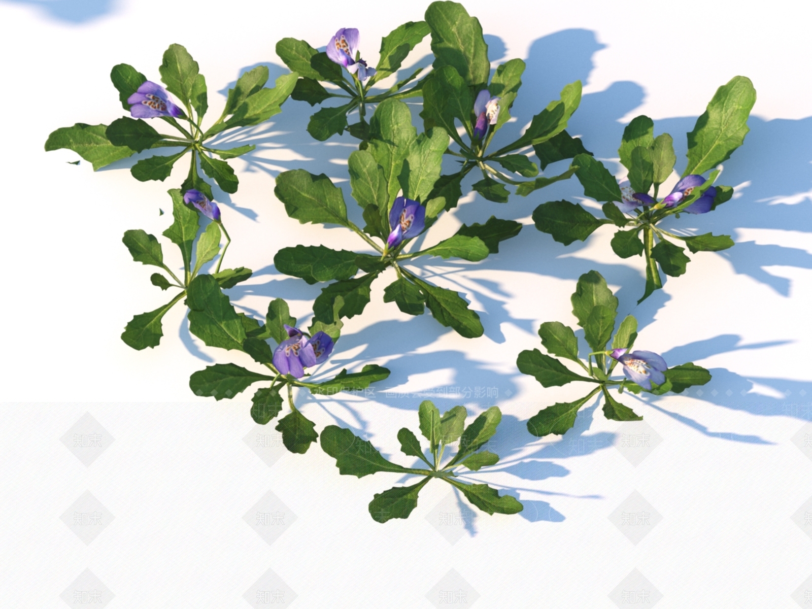 植物3D模型下载【ID:1151188180】