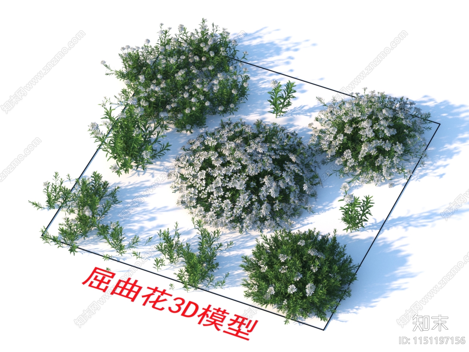 植物3D模型下载【ID:1151197156】