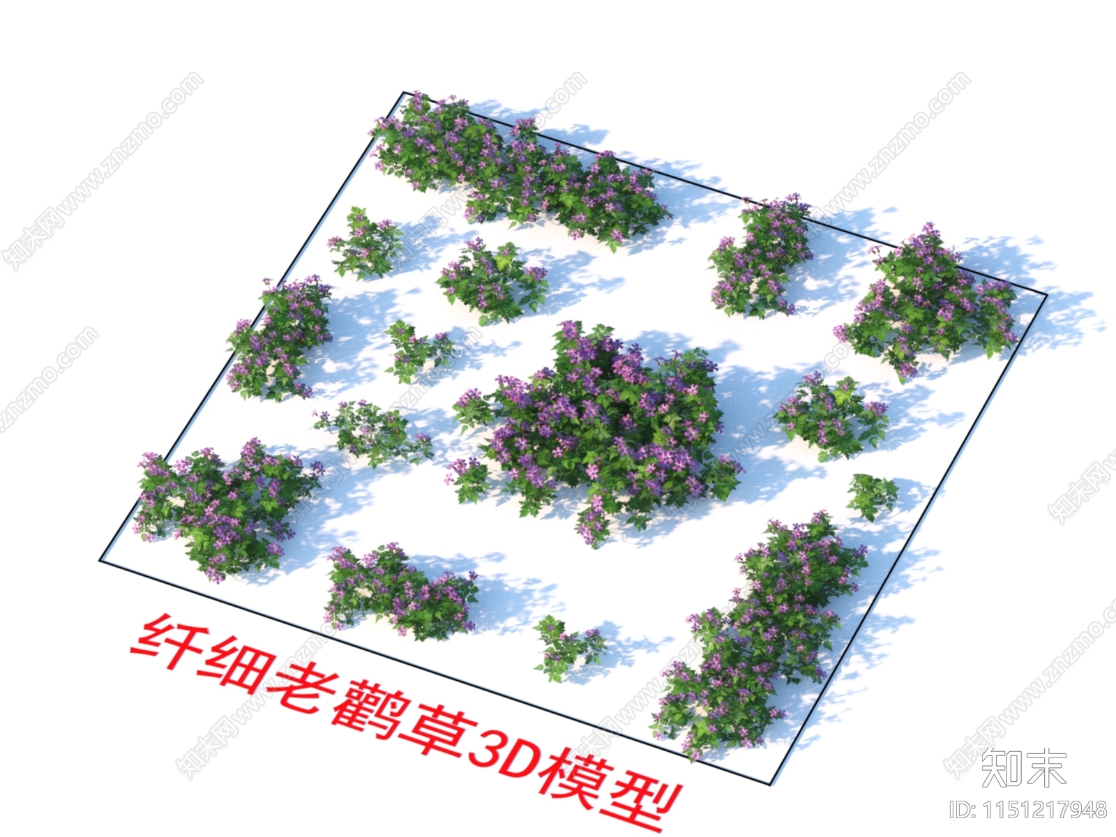 纤细老鹳草3D模型下载【ID:1151217948】