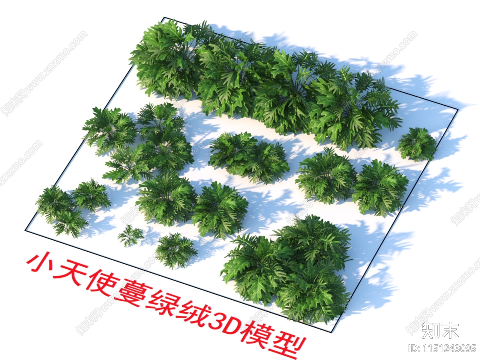 小天使蔓绿绒3D模型下载【ID:1151243095】