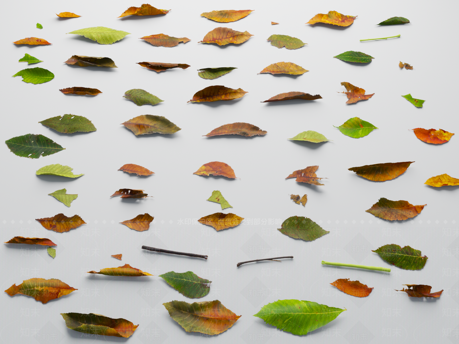 红七叶树叶3D模型下载【ID:1151245530】