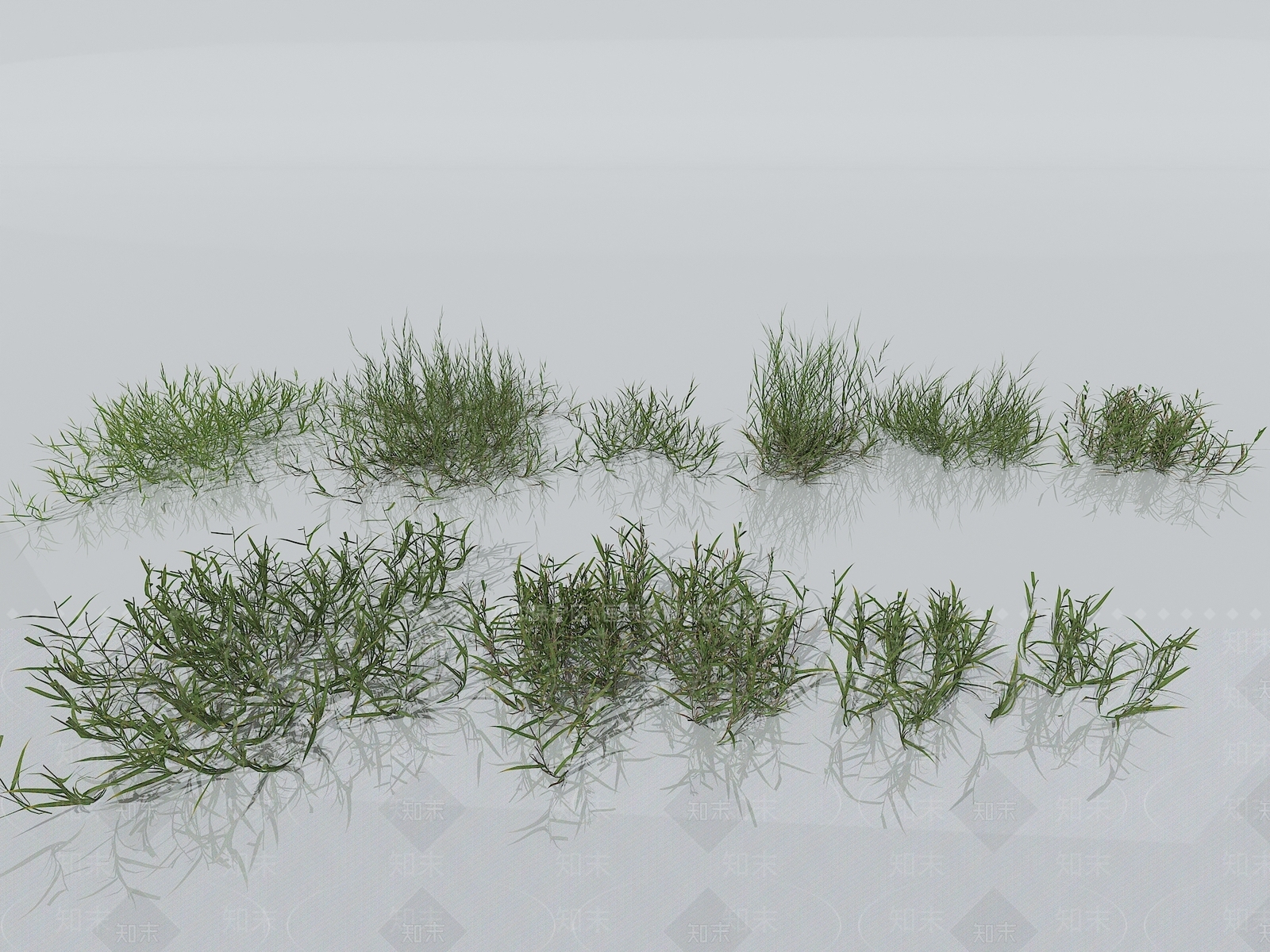 草3D模型下载【ID:1151257250】