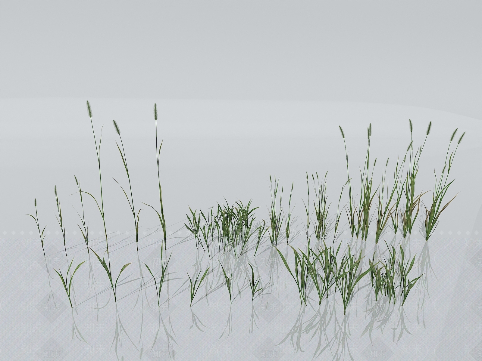 草3D模型下载【ID:1151257422】