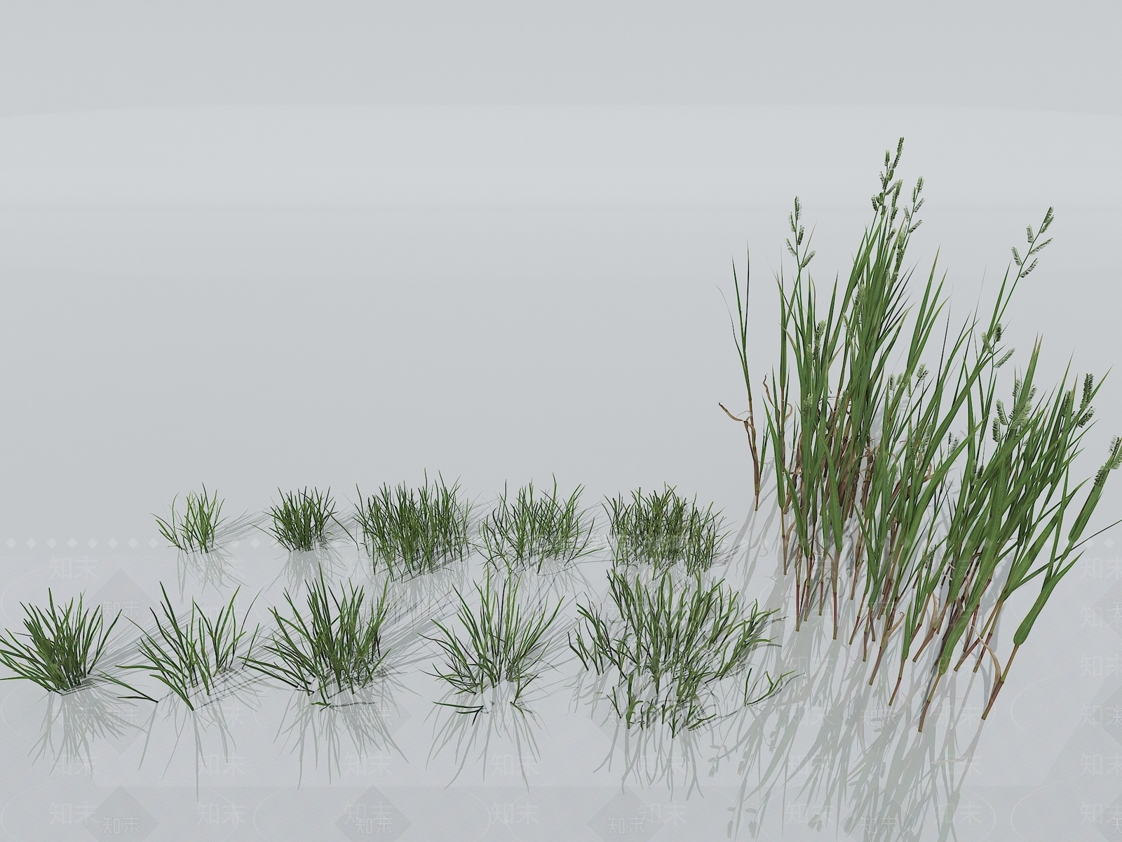 草3D模型下载【ID:1151257790】