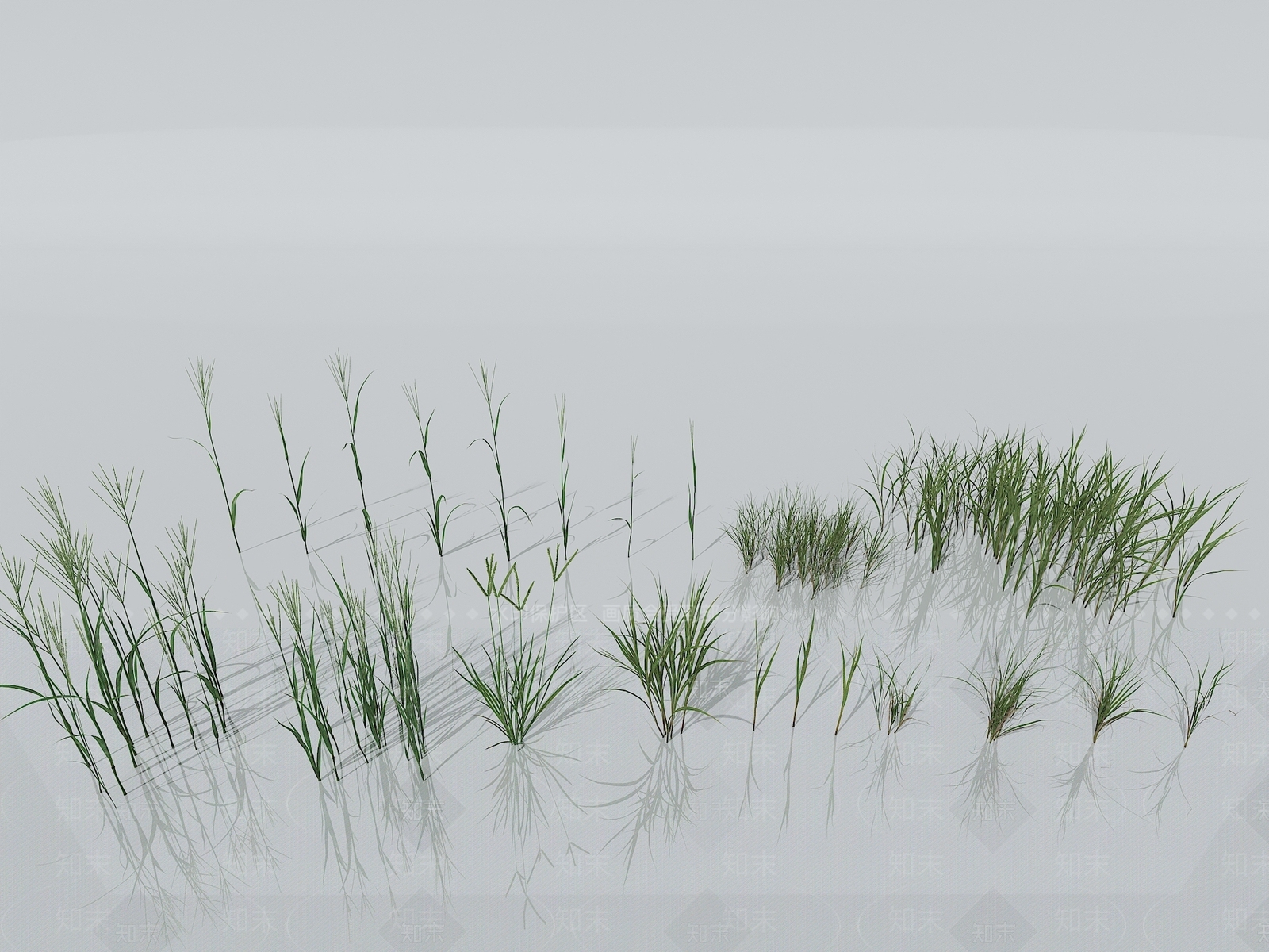 草3D模型下载【ID:1151257708】