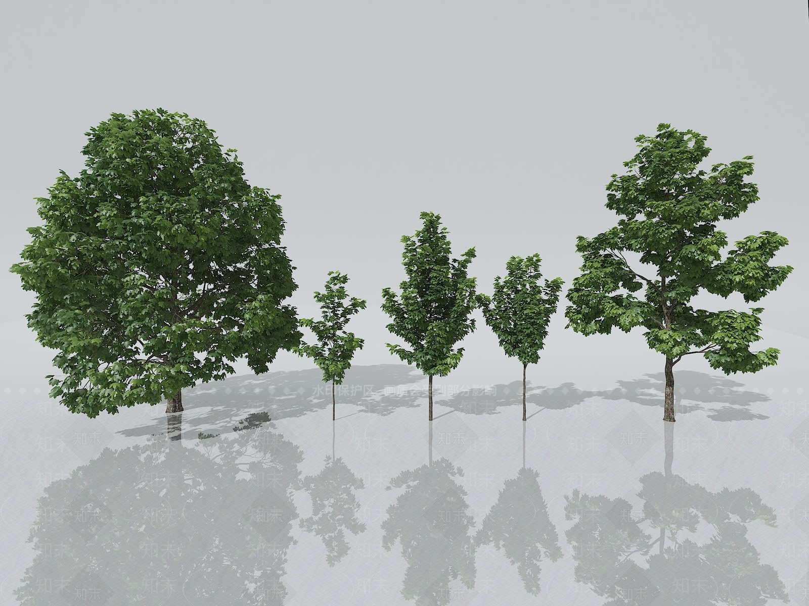 梧桐树3D模型下载【ID:1151258560】