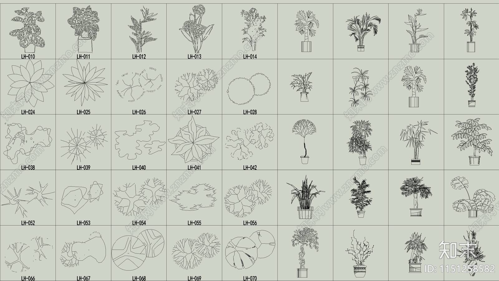 各类植物绿植盆栽盆景平面图块施工图下载【ID:1151258582】