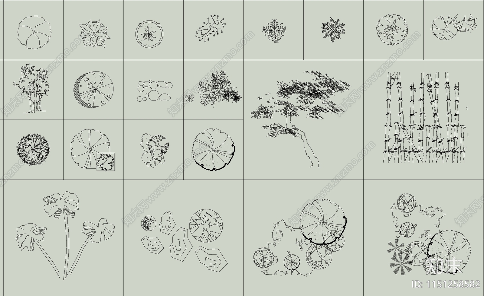 各类植物绿植盆栽盆景平面图块施工图下载【ID:1151258582】