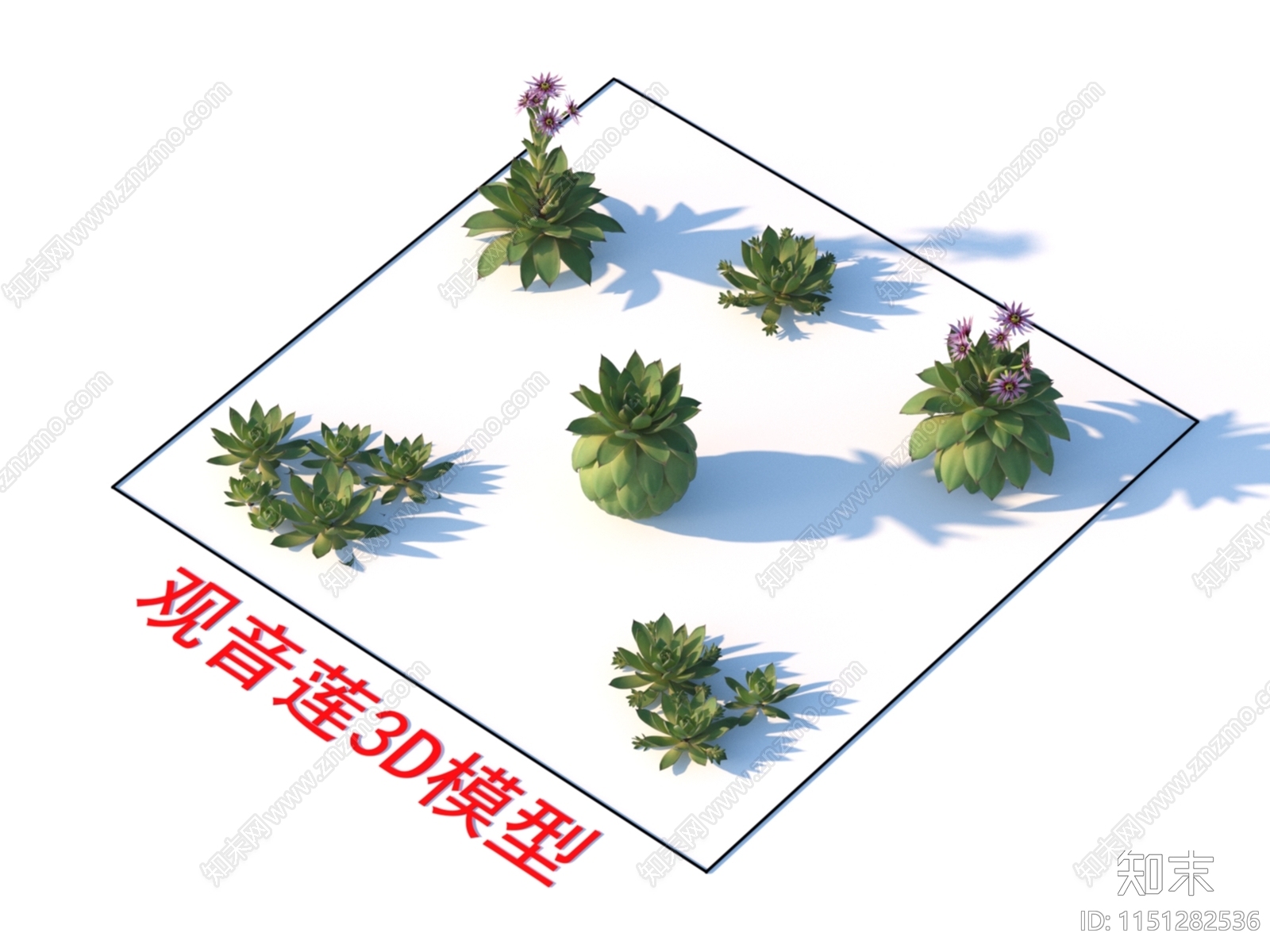 观音莲3D模型下载【ID:1151282536】