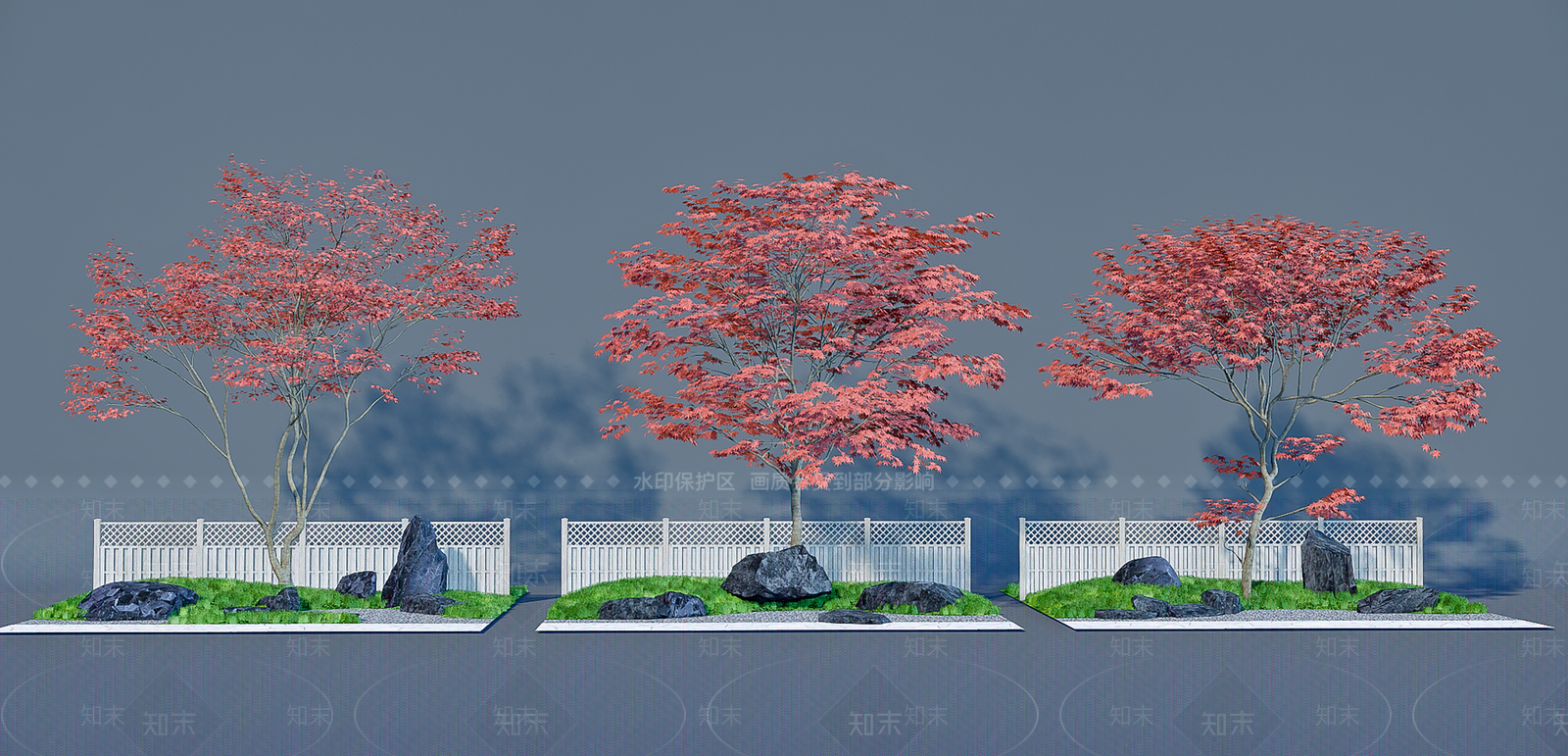 鸡爪槭SU模型下载【ID:1151291812】