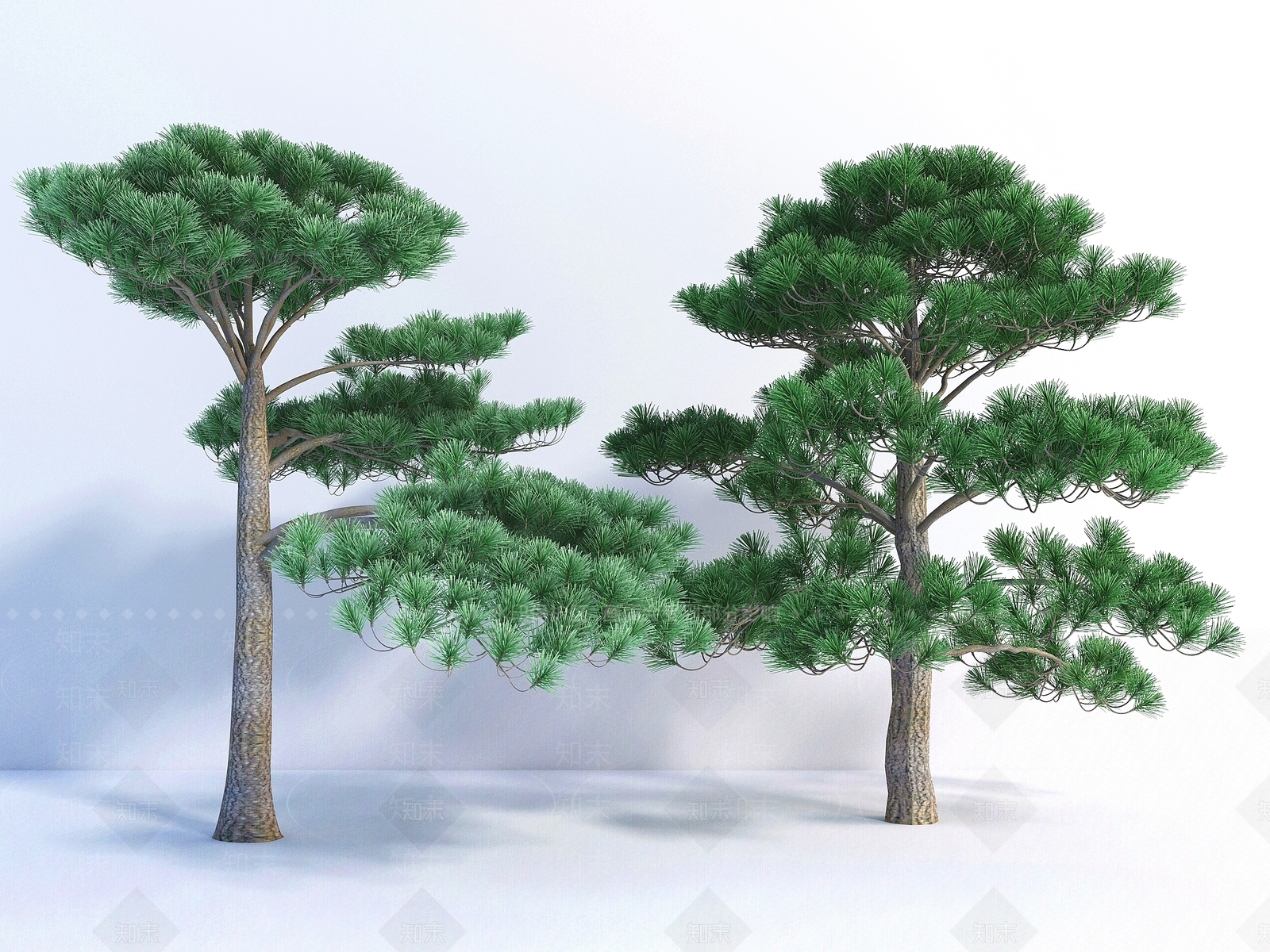乔木3D模型下载【ID:1151294083】