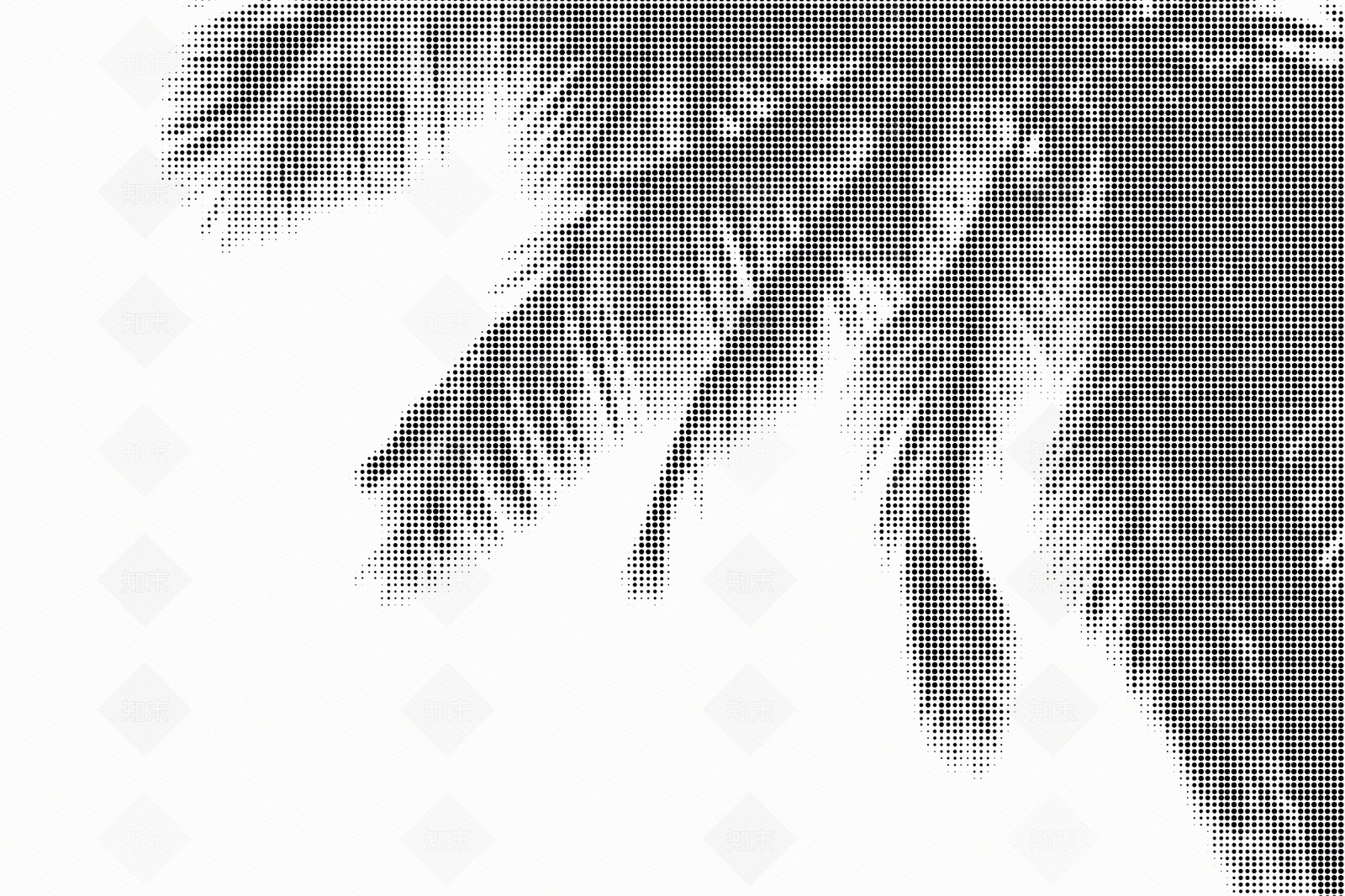 黑白棕榈树树影穿孔板贴图下载【ID:1151329879】