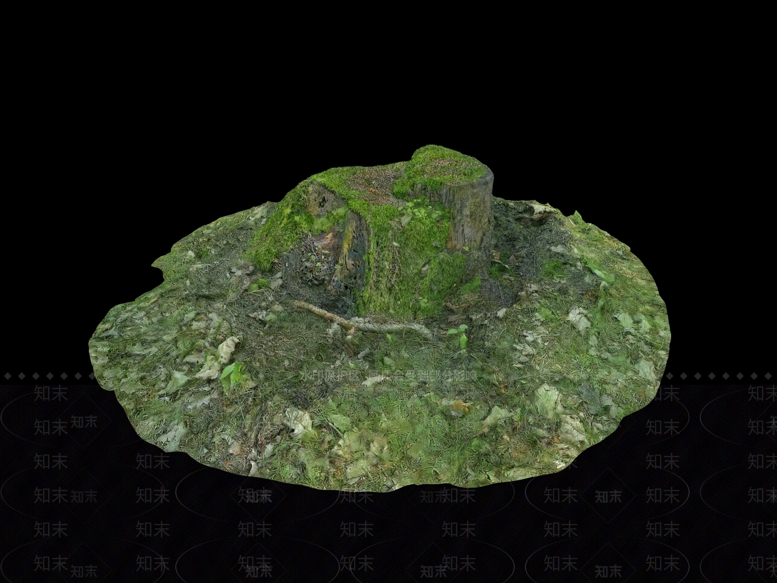 树根3D模型下载【ID:1151344834】