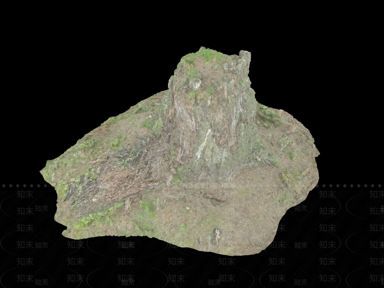 树根3D模型下载【ID:1151345065】