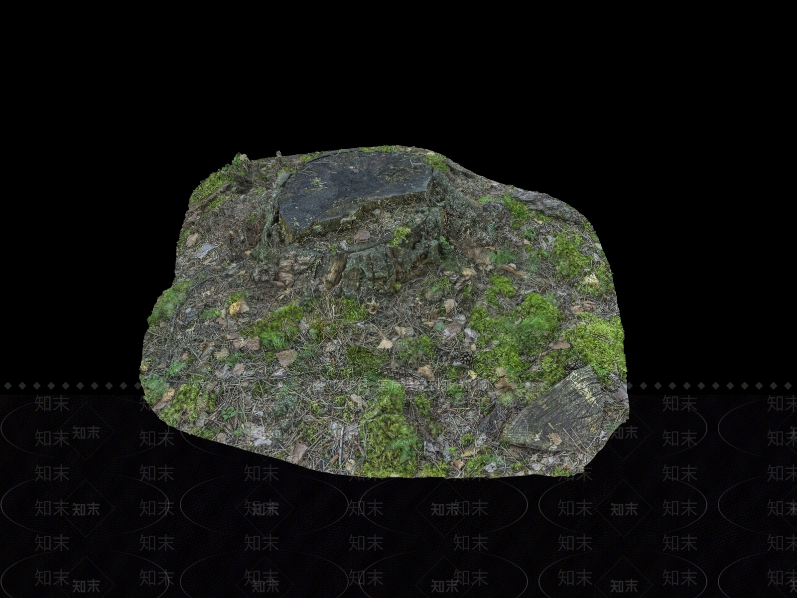 树根3D模型下载【ID:1151345146】