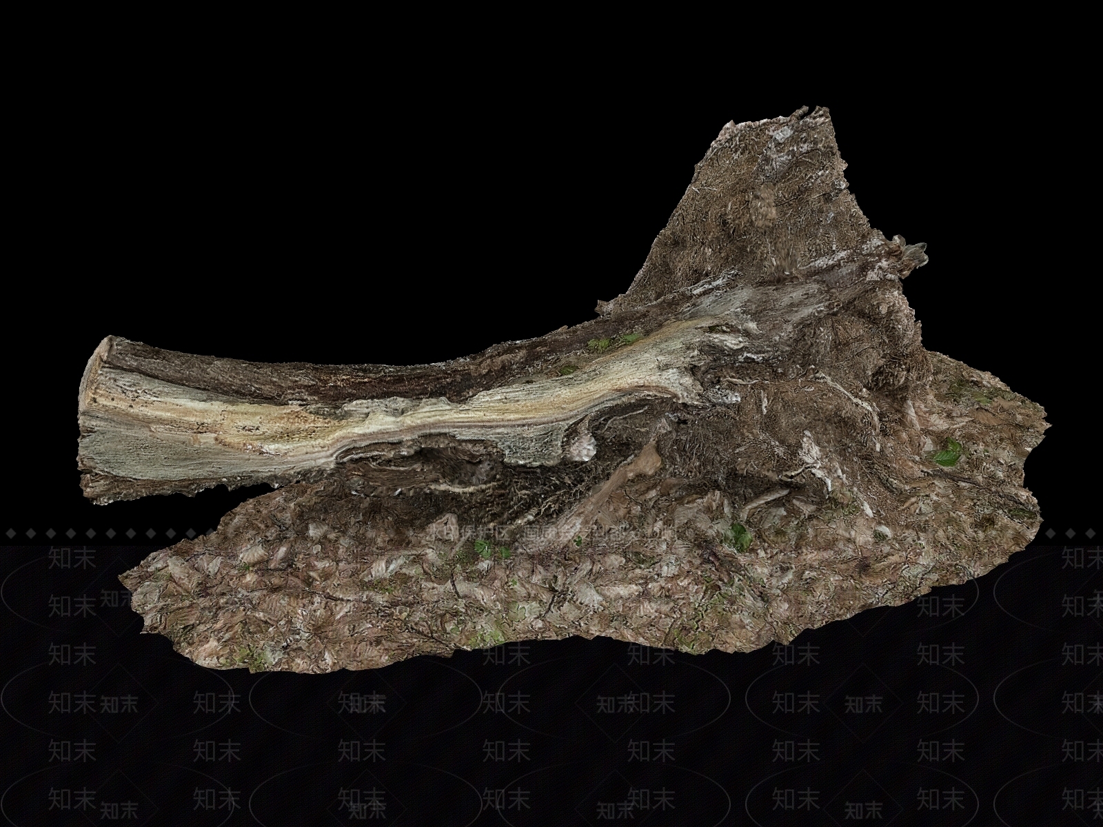 树根3D模型下载【ID:1151345298】