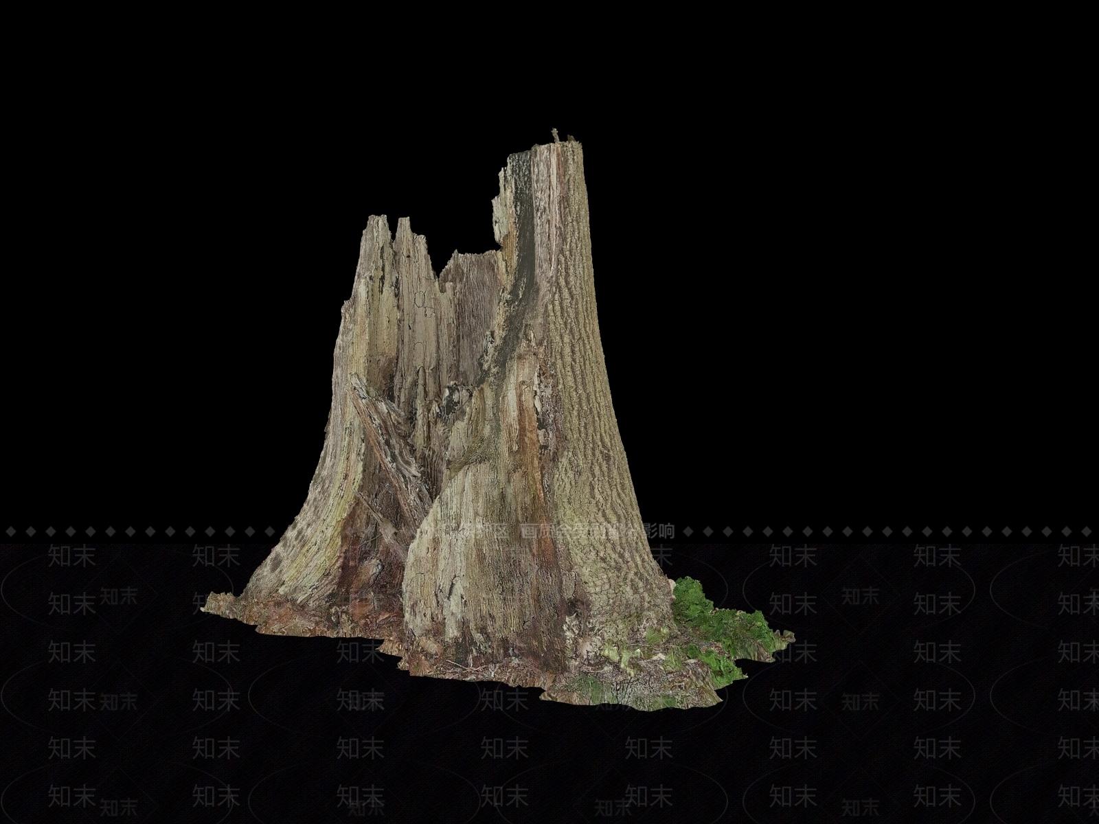 树根3D模型下载【ID:1151345494】