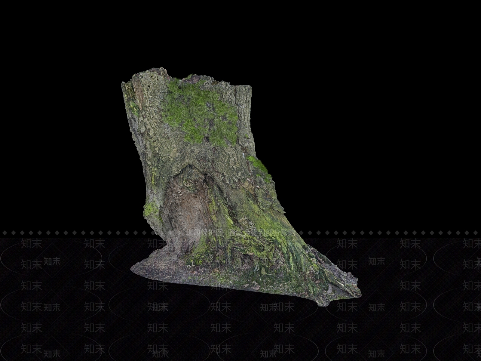 树根3D模型下载【ID:1151345469】