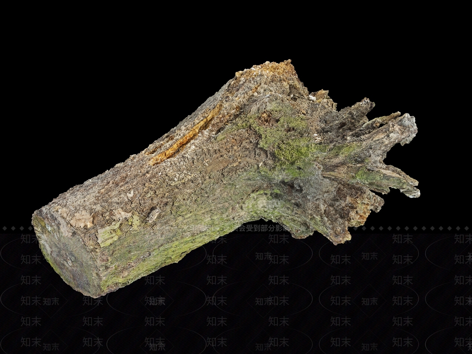 树根3D模型下载【ID:1151345564】