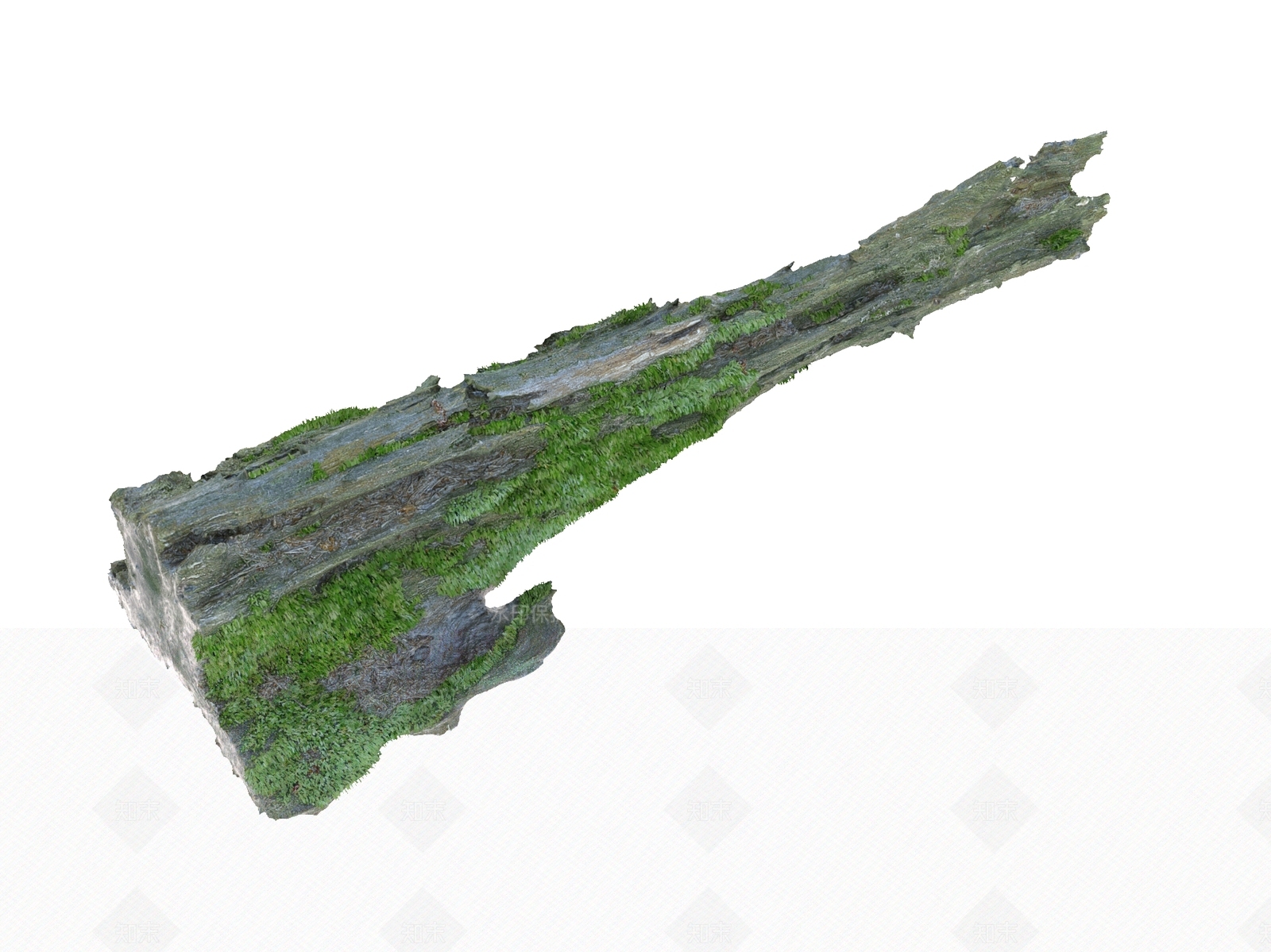 树根3D模型下载【ID:1151347066】