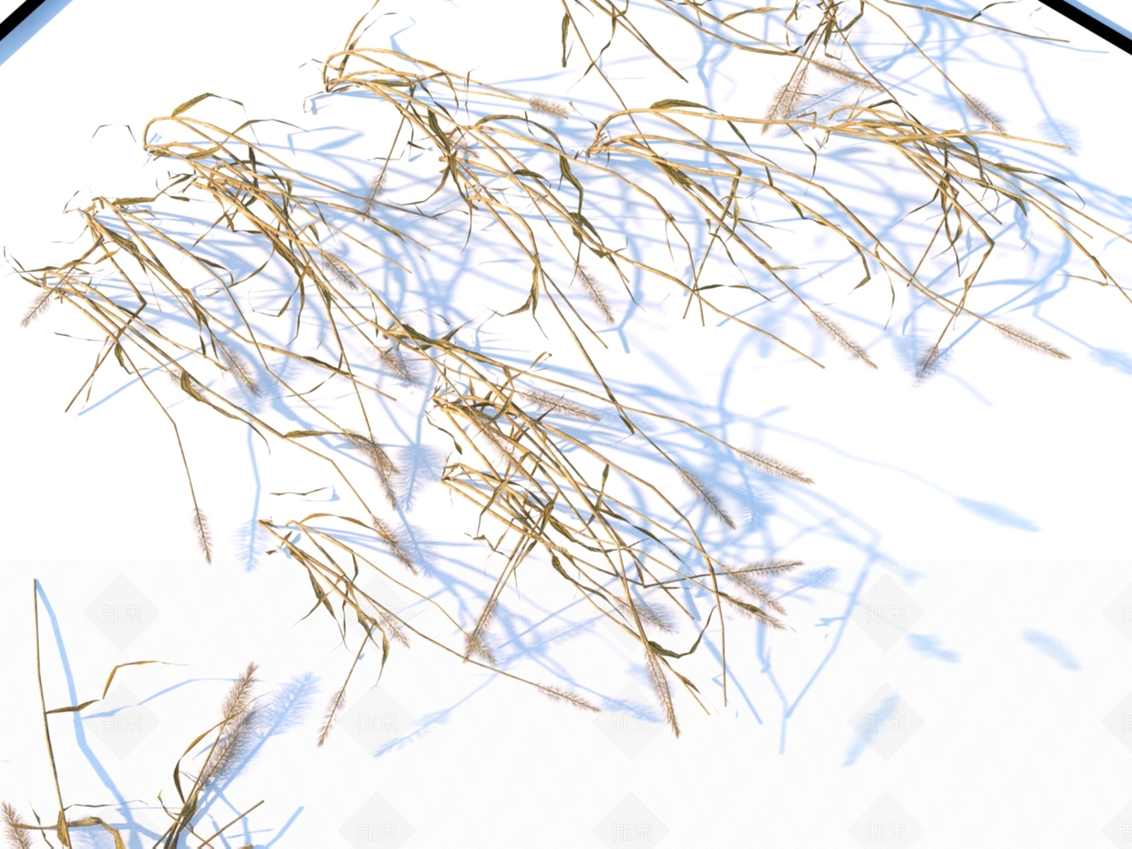 枯草3D模型下载【ID:1151354372】