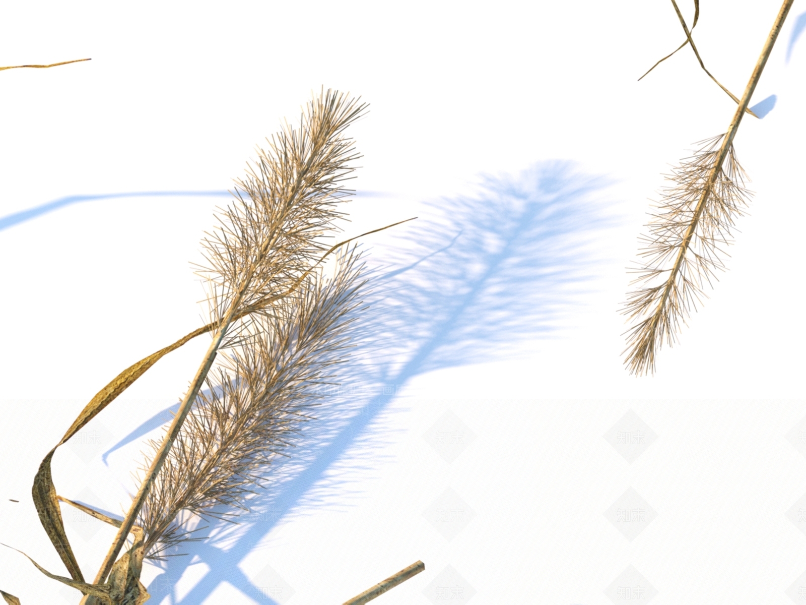 枯草3D模型下载【ID:1151354372】