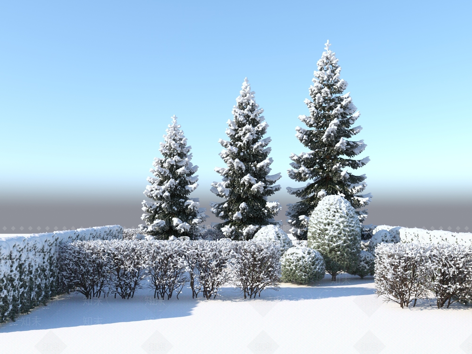 雪松3D模型下载【ID:1151358600】