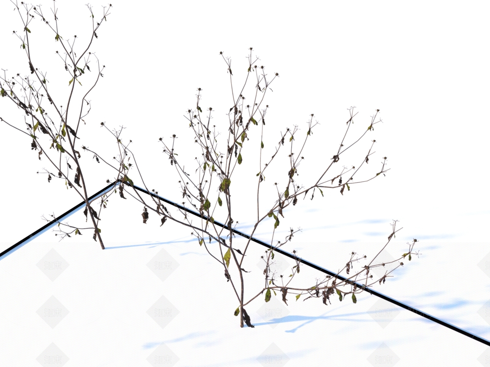 枯草3D模型下载【ID:1151359582】