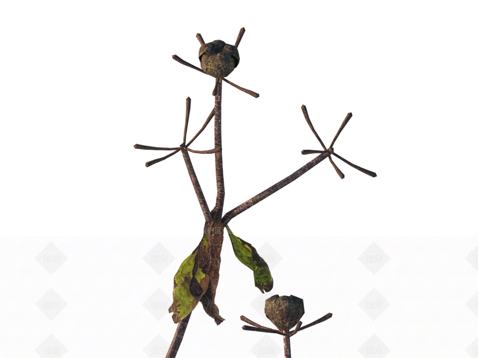 枯草3D模型下载【ID:1151359582】