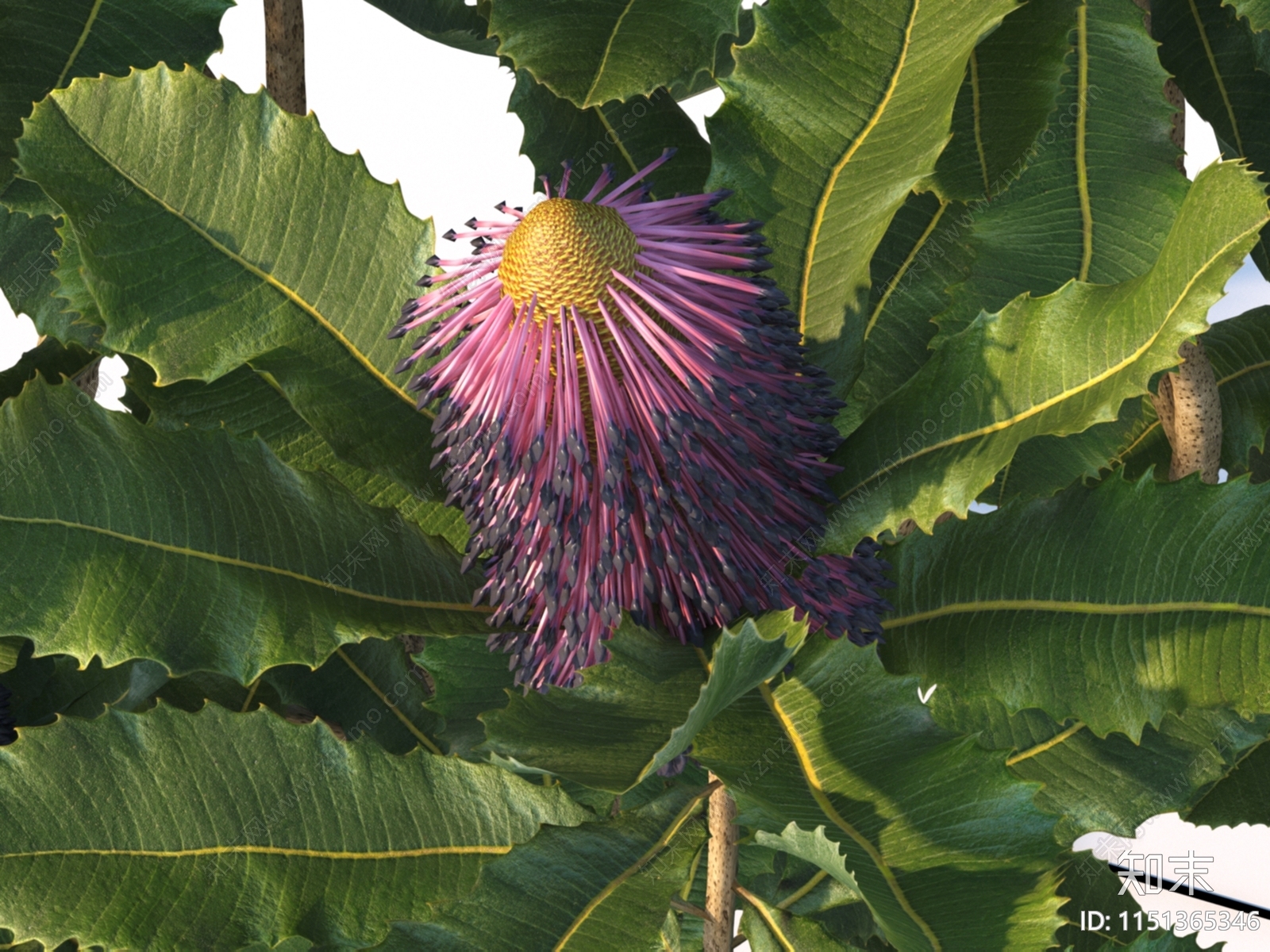 花卉3D模型下载【ID:1151365346】